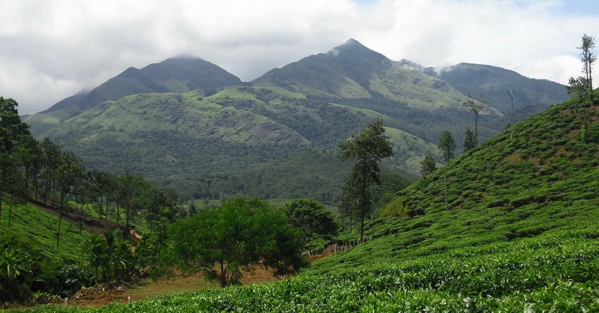 Wayanad hill getaway destination